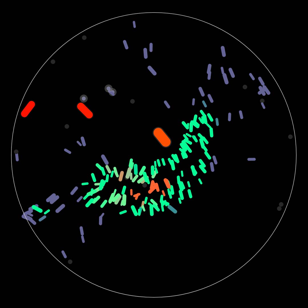 Simulating a Tiny Ecosystem with Boids – Tristan Antonsen